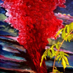 Volcanic Eruptions