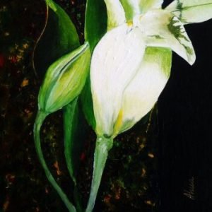 New Life