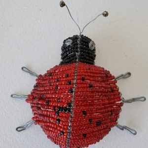 Lady Bug