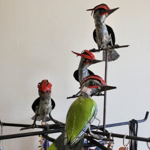 Birds