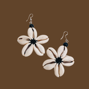 Star-studded sea shells