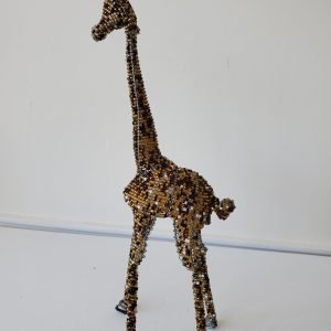 Small Giraffe