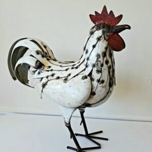 A Rooster