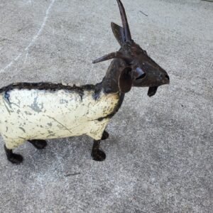 Meal Goat